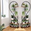2X Plant Stand Half Heart Shaped Multiple Planter Rack Flower Display with Hooks 20 Pots Garden Ladder Planting Shelf